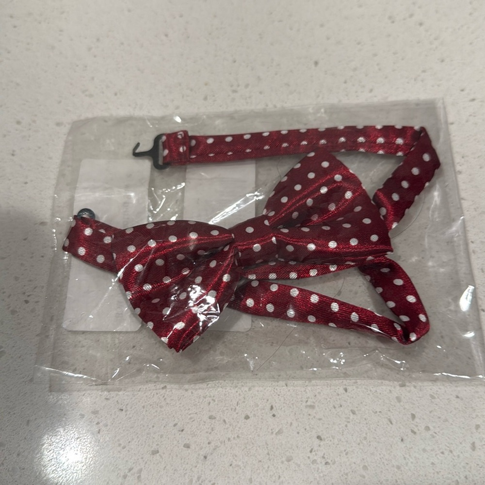 Boys Burgundy Polka Dot Bow Tie